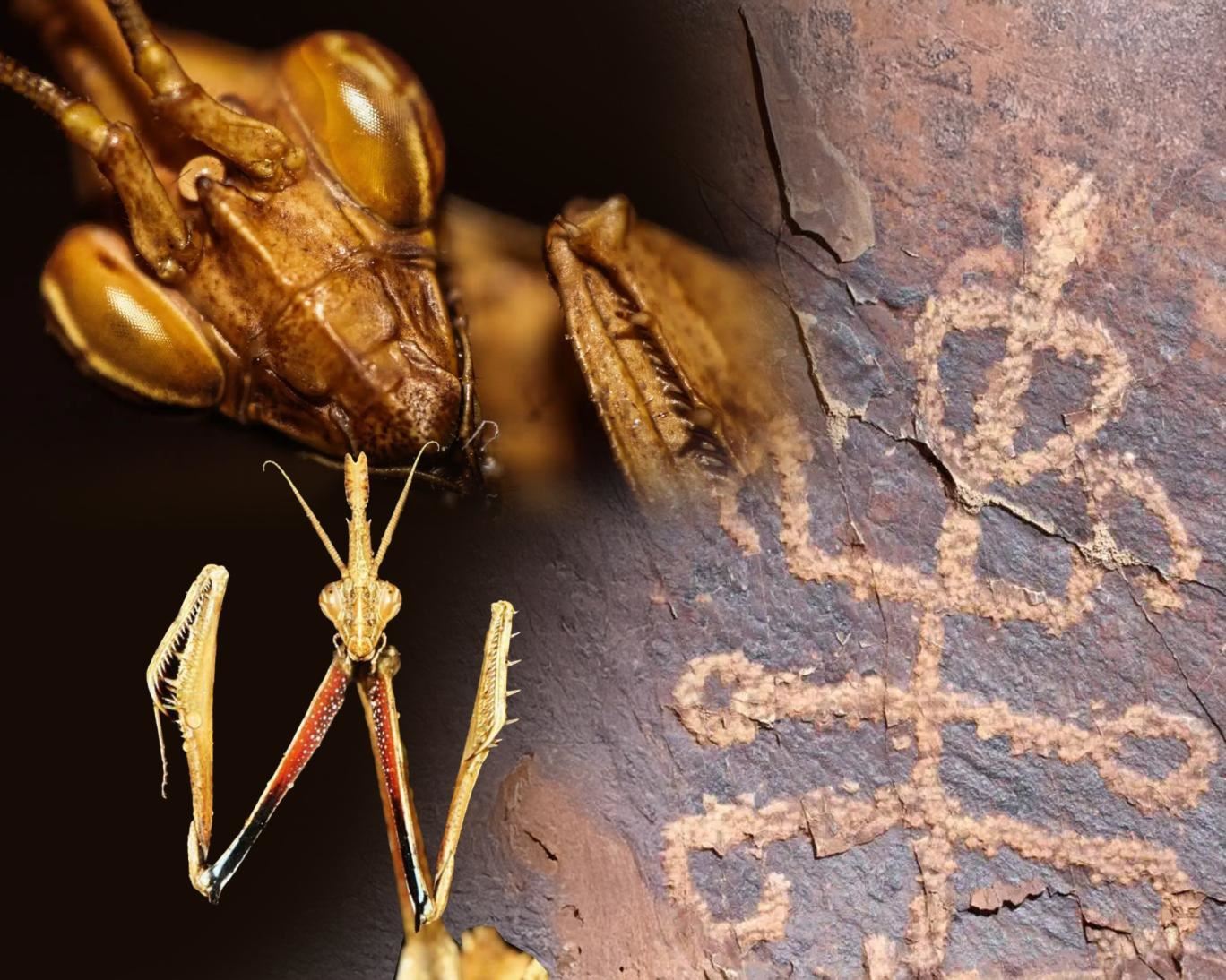 media.news.imagealternatetextformat.details