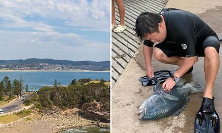 جریمه 22 هزار دلاری در انتظار صیاد غیرقانونی در ایالت نیوساوت ولز