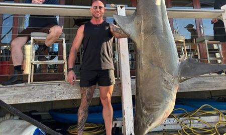 صید کوسه غول‌پیکر ۱۵۰ کیلویی در سیدنی