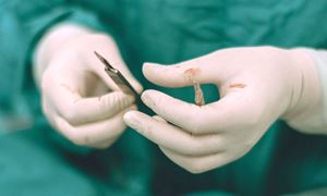 media.news.imagealternatetextformat.details