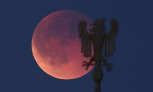 media.news.imagealternatetextformat.details