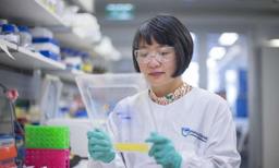   تلاش برای ساخت یک واکسن جدید برای مالاریا توسط دانشمندان استرالیا 