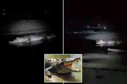 آرش ماهیگیر جوان در محاصره کروکودیل ها قرار گرفت