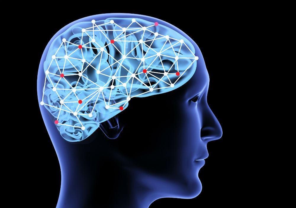 محققان استرالیا و انگلستان می گویند: هوش ،همیشه نشانه موفقیت افراد نیست