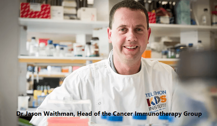  تلاش محققان استرالیا برای شناسایی سلول های ایمنی بدن که سرطان را به خواب می برد