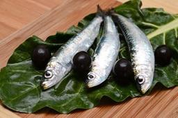 محققان استرالیا/خوردن ماهی ممکن است به جلوگیری از آسم کمک کند