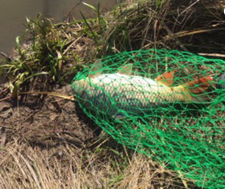 مهاجم جان سخت