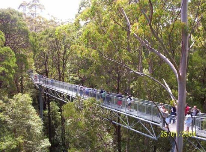 گردشگری استرالیا/ملبورن ...گردشگاه " Otway Range "