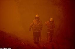 آخرین اطلاعات در خصوص خسارات آتش سوزی های فصلی گسترده در استرالیا 