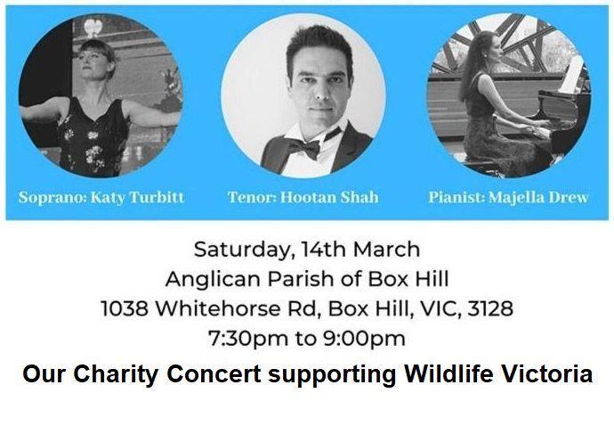 برگزاری کنسرت موسیقی در حمایت از حیوانات  آسیب دیده از آتش سوزی های جنگلهای اخیر ایالت ویکتوریا