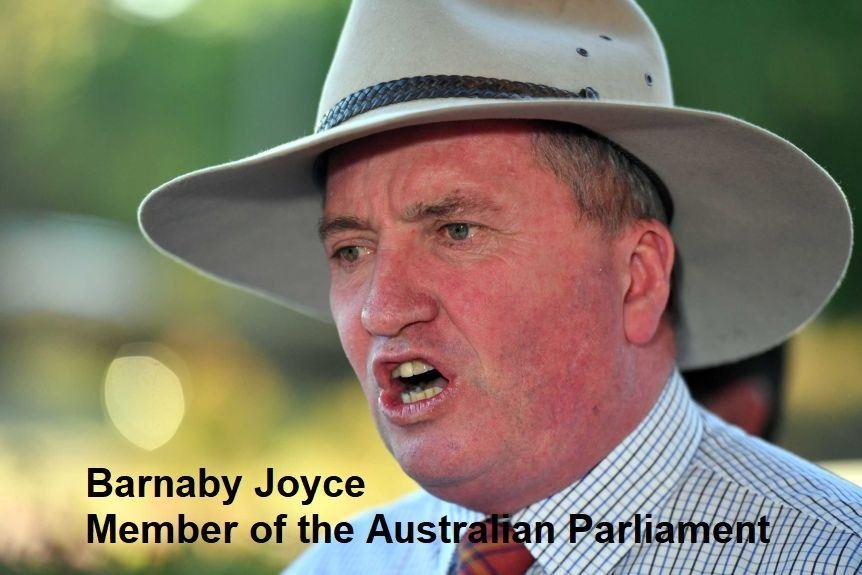  پیامدهای ناشی از اعمال محدودیت و تشدید قوانین مربوط به سرمایه گذاری خارجی در بخش کشاورزی استرالیا