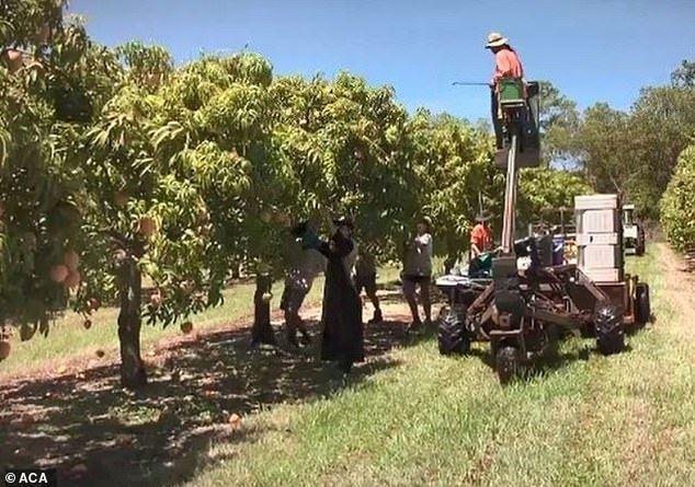 آیا دوست دارید روزی 500 دلار درآمد داشته باشید؟ 