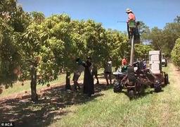 آیا دوست دارید روزی 500 دلار درآمد داشته باشید؟ 