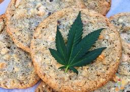 بیهوش شدن 6 زن بر اثر خوردن کلوچه شاهدانه(حشیش)