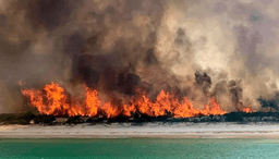 هفته‌ها تلاش بی‌فرجام؛ نیمی از جزیره فریزر استرالیا طعمه آتش شد