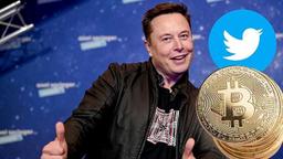 تاثیر 20 درصدی توئیت ایلان ماسک بر قیمت ارزهای دیجیتال