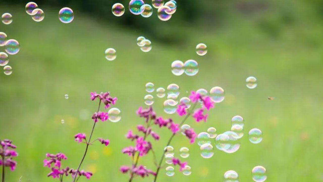 گرده‌افشانی گیاهان منجر به افزایش ابتلا به کرونا می‌شود