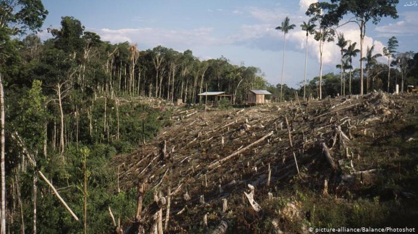 درخواست 10 میلیاردی برزیل برای جلوگیری از نابودی آمازون