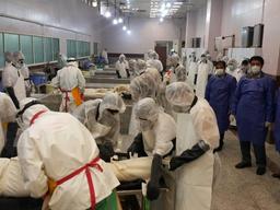 سردخانه‌های ایران جوابگوی تلفات کرونا نیست