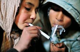 فوت روزانه ۱۳ ایرانی بر اثر مصرف موادمخدر