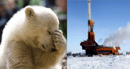 دستور جوبایدن و توقف حفاری در پناهگاه ملی حیات وحش قطب شمال