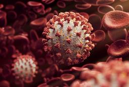 شناسایی نوع جدید و دیده نشده کروناویرس در استرالیا