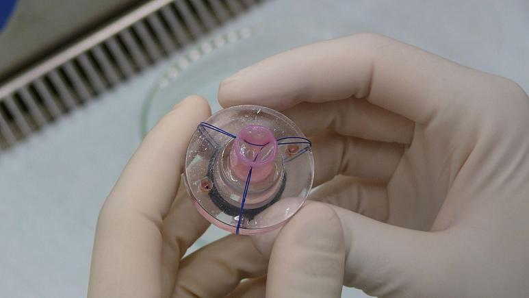 تولید بافت کبد با چاپگرهای سه‌بعدی