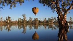 گردشگری استرالیا/ بالون سواری به همراه صرف صبحانه در باروسا ولی( Barossa Valley)  در شهر آدلاید