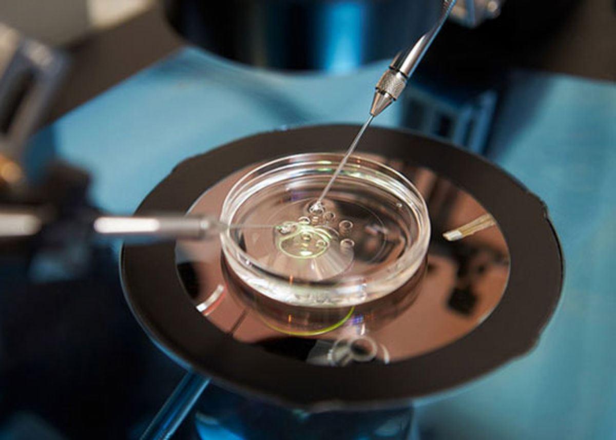 قانونی شدن لقاح مصنوعی برای همجنسگرایان و مجردها در فرانسه