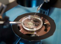 قانونی شدن لقاح مصنوعی برای همجنسگرایان و مجردها در فرانسه