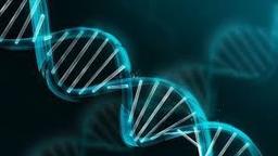 تنها 7 درصد از DNA ما منحصر به انسان مدرن است