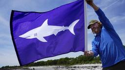 پرطرفدارد بودن مصرف و تجارت گوشت کوسه در اروپا