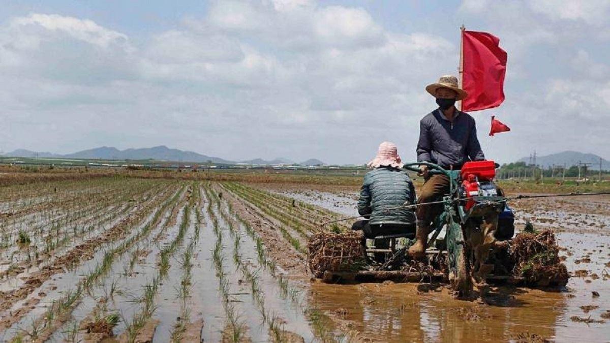 وضعیت وخیم در کره‌شمالی و حرکت به سمت قحطی