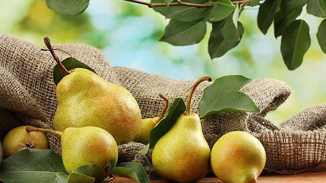 جلوگیری از افت شناختی با مصرف میوه‌های سرشار از فلاونوئیدها