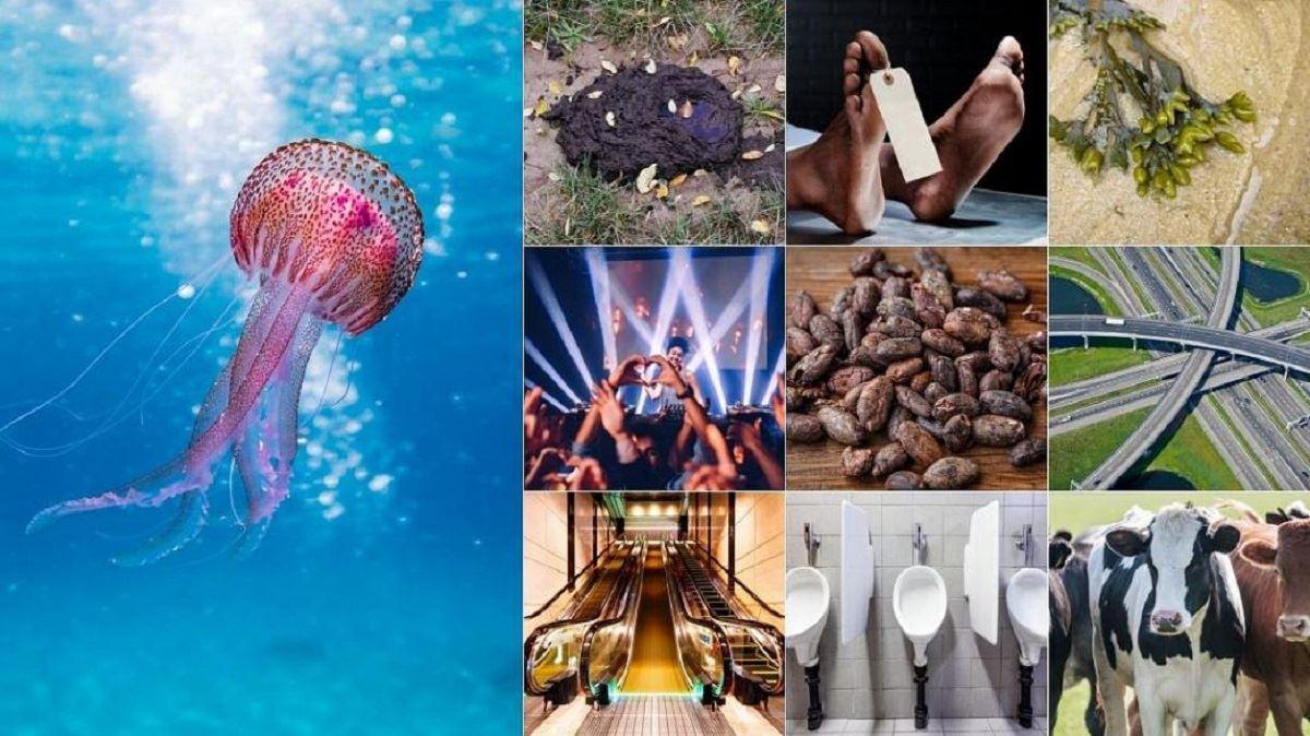 10 انرژی تجدیدپذیر برای تغییر وضعیت زمین در 10سال آینده