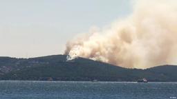 آتش گریبان جنگل‌های «کاج» ترکیه را گرفت