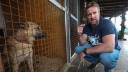 پرواز چارتر بریتانیا برای خروج سگ‌وگربه‌ها از افغانستان