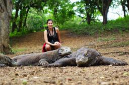 ۳۰درصد گونه‌های جانوری جهان در معرض انقراض