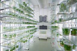 تشخیص نیاز گیاه به آب با یک سنسور