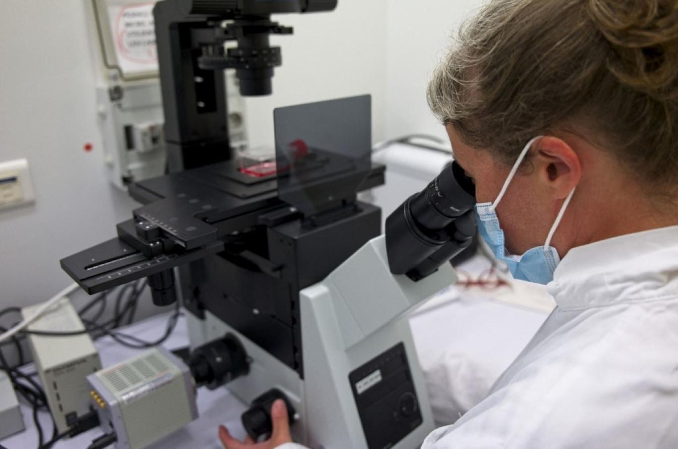 درمان جدید سرطان تخمدان و کاهش اندازه تومورها