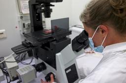 درمان جدید سرطان تخمدان و کاهش اندازه تومورها