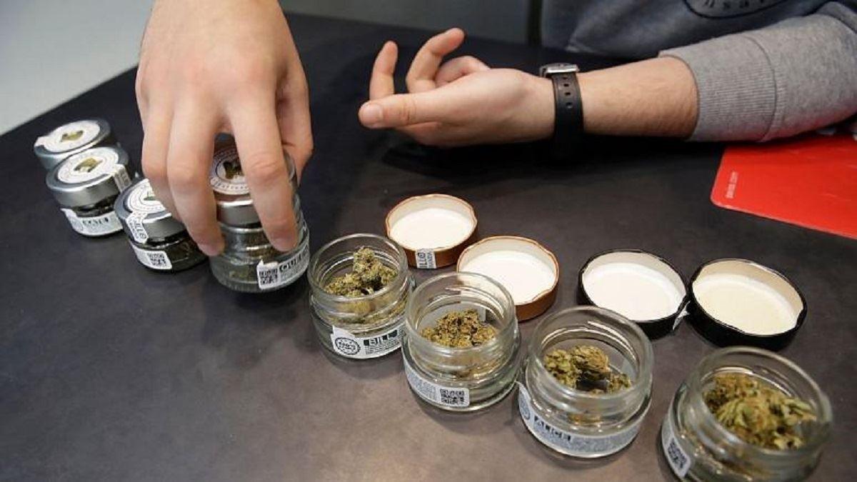 همه‌پرسی برای جرم‌زدایی از مصرف حشیش در ایتالیا