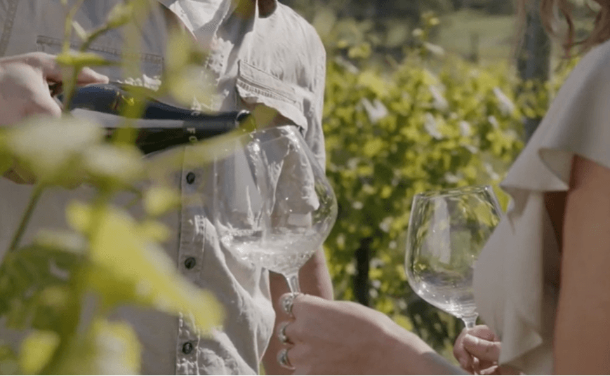 گردشگری استرالیا/ملبورن...ایالت ویکتوریا / دره یارا  ( Yarra Valley )