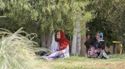 آغاز زنانه شدن سالمندی در ایران