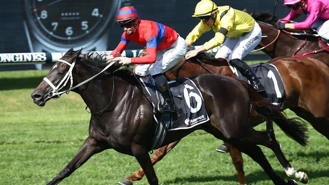 وری الیگانت؛ برنده ملبورن کاپ 2021