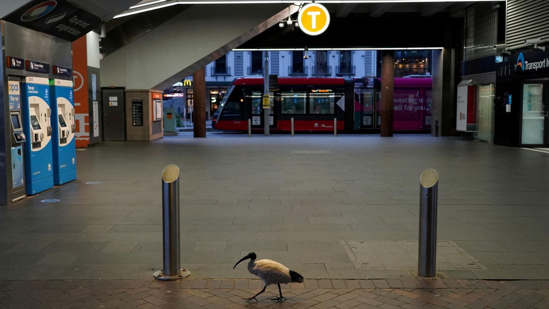 کدام محدودیت‌های کرونایی در قلمرو پایتختی استرالیا برداشته می‌شود؟