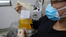 توصیه سازمان بهداشت جهانی در خصوص درمان بیماری کرونا با پلاسمای خون