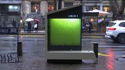 درخت مایع، راه حل صربستانی‌ها برای تصفیه هوا