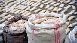 پروژه مکزیک شدن سوریه با صادرات ماده مخدر کاپتاگون