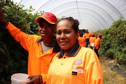 عملکرد نامناسب استرالیا در جذب مهاجران خارجی و کمبود نیروی کار